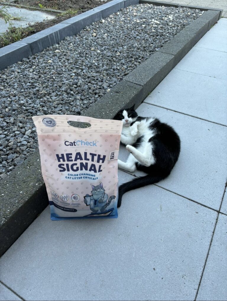 Kattenbakvulling