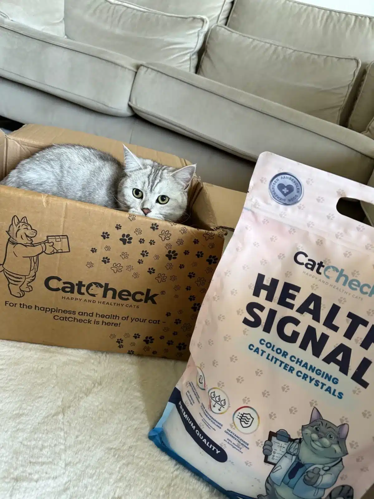 02dcb768 332a 4716 bcca da4503daf152