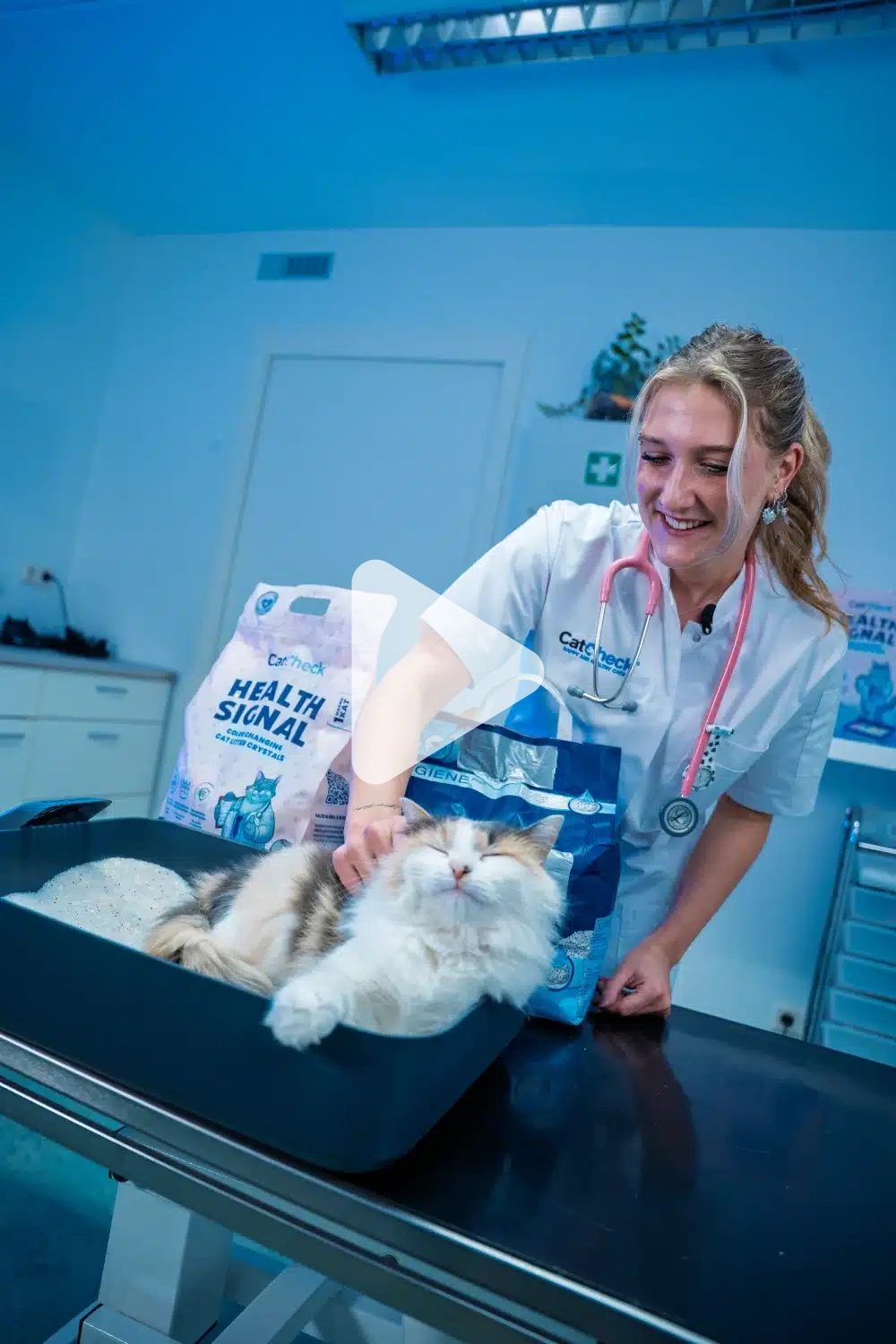 Catcheck dierenarts aait een kat