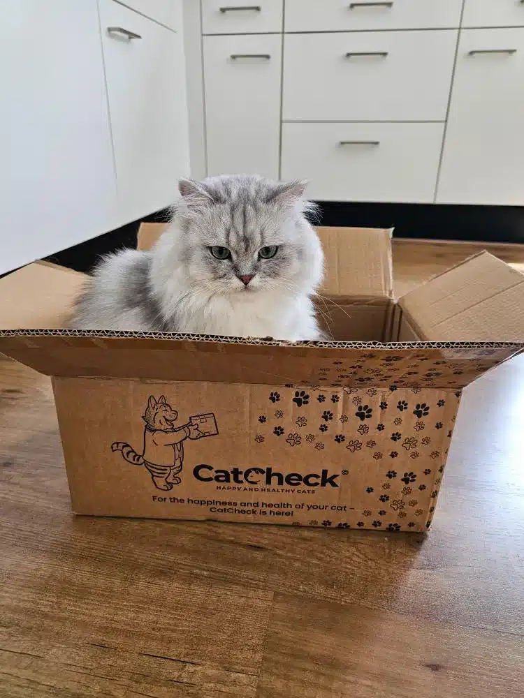 FD777BA1 8877 48C8 8E2C 5C64106581AD