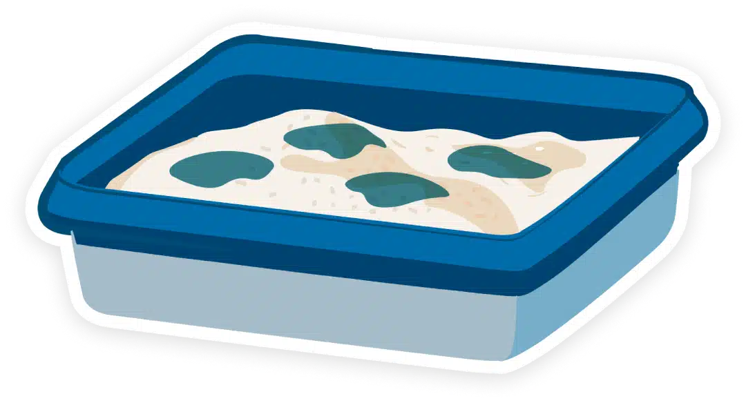 Blauwe reactie in de kattenbakvulling