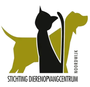 offem.png 1 e1764922417906