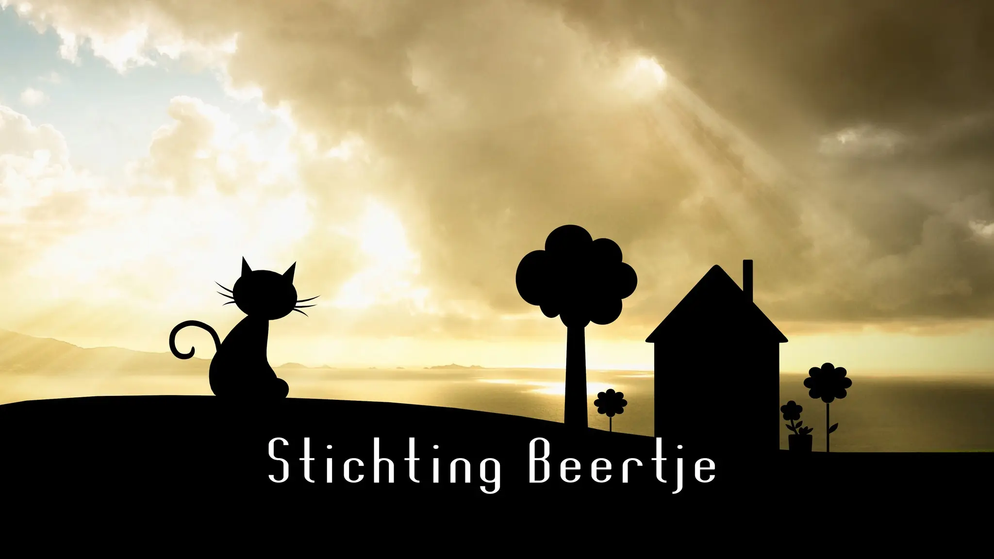 Stichting Beertje logo